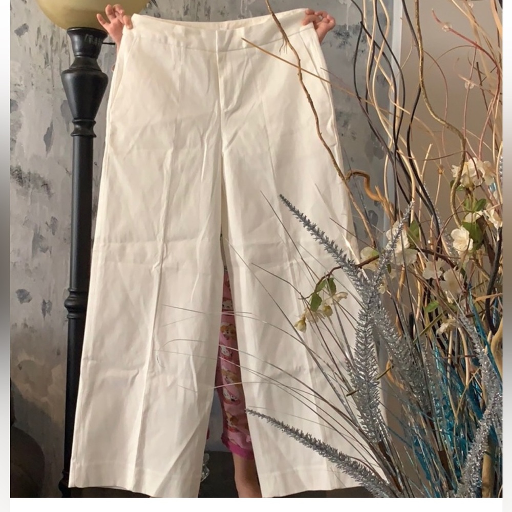 Everlane pants